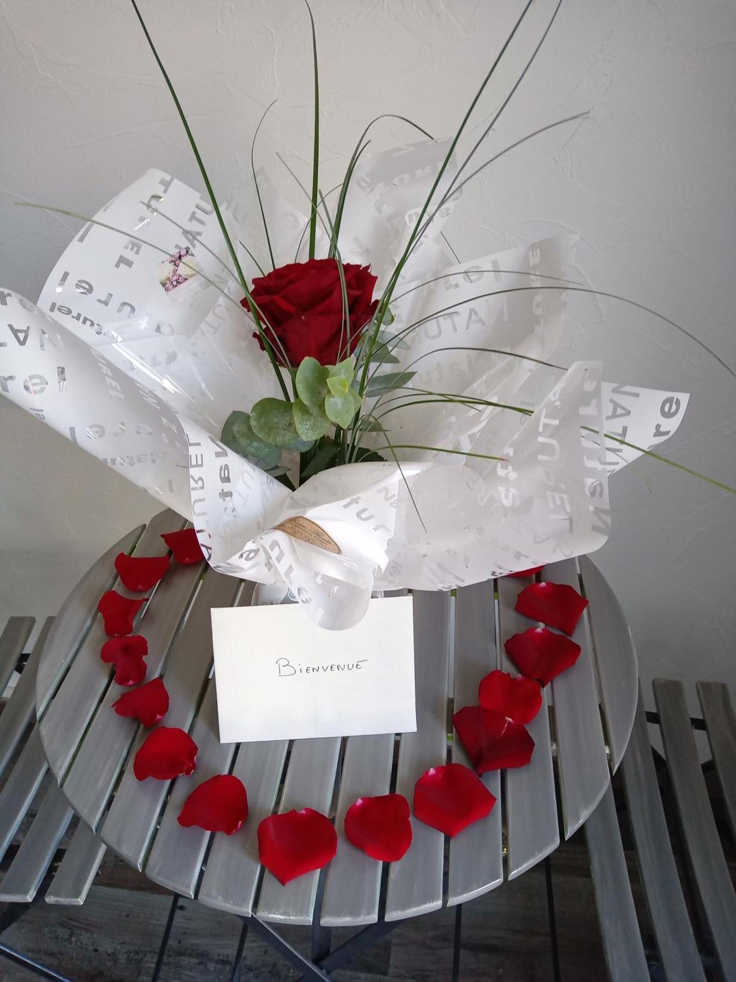 Studio Les coquelicots Saint-Romain-sur-Cher Extérieur photo